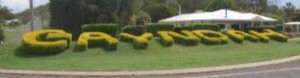 Gayndah hedge